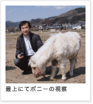 最上川 ミニホース